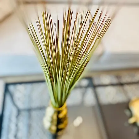 아파트 Ho!house Shellter 로고보