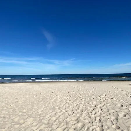 Ho!house Shellter 로고보