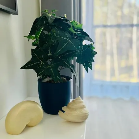 Ho!house Shellter 아파트 *