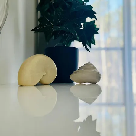 Ho!house Shellter 아파트 *