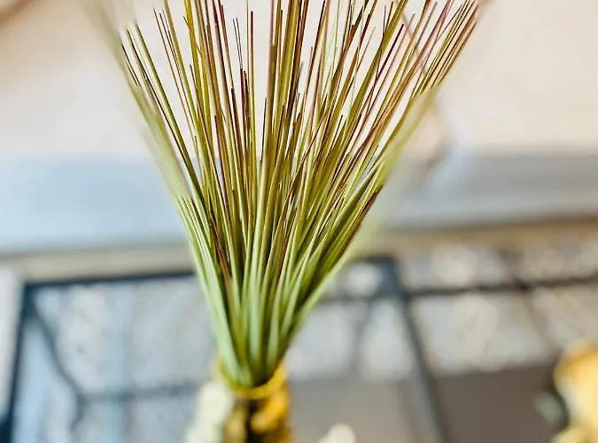 Apartmán Ho!house Shellter Rogowo (Gryfice)