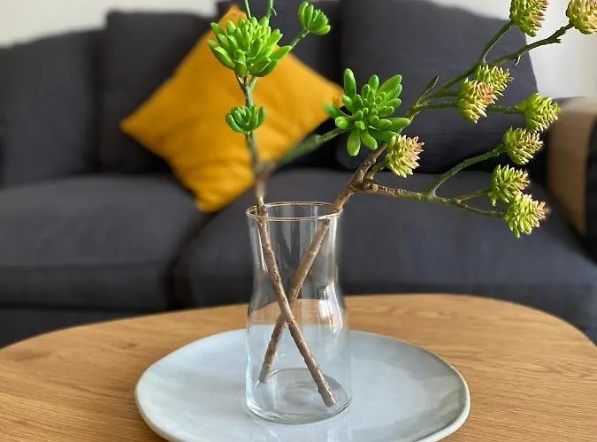 Apartmán Ho!house Shellter Rogowo (Gryfice)