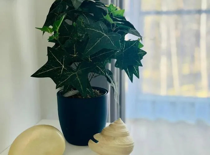 Ho!house Shellter Apartmán *